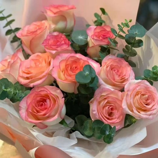 Qianqian Whispering Dounan base direct wholesale rose flowers nationwide express delivery girlfriend gifts home water-raised flower arrangements real flowers Elsa roses 18 pieces + 2 pieces loss prevention