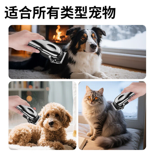 Pet shaver, special shaving foot hair trimmer for cats, cat hair shaving tool, dog clipper, electric hair clipper, standard + nail cover + steel comb + black flat shear