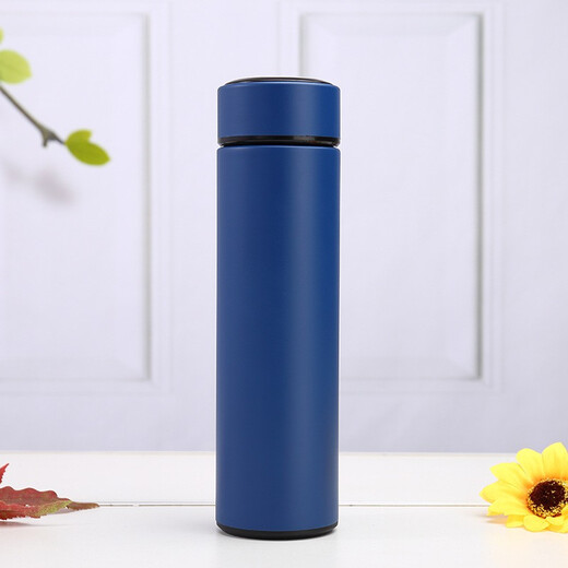 飞之厨304不锈钢真空保温杯带茶隔运动直身杯 可定制LOGO 可刻字 送礼品 直身杯银色500ml 需要刻字备注