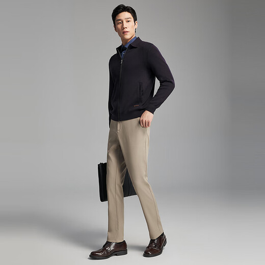 Youngor Sweater Men's 2025 Autumn and Winter Young Men's Long-Sleeved Sweater VWHW619961FFA Navy VWHW619961FFA S 95cm (recommended 105-125Jin Jin equals 0.5kg)