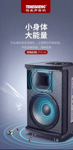 TEMEISHENG JT10-66 outdoor musical instrument audio road show K song square dance portable guitar saxophone playing and singing live broadcast