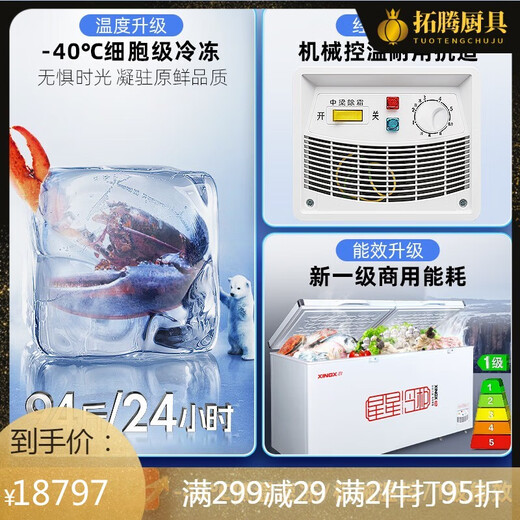 Iosn German imported quality high-end freezer commercial freezer large capacity refrigerated freezing horizontal single temperature refrigerator fresh-keeping freezer deep-freezing high-end model丨1.95m丨-45-718 upgrade