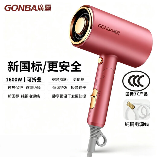 GUANGBA 2025 new technology National standard certified hair dryer household negative ion hair care silent quick-drying high wind low power hair dryer for dormitory students constant temperature does not harm hair quality Champagne powder New national standard safer 1600W Naked model 2M pure copper power cord