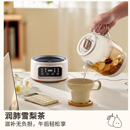 Health kettle with heat preservation integrated, fully automatic constant temperature tea kettle, all-glass hot water kettle, tea kettle, large capacity, stewing, all-in-one, multi-functional household small upgrade model - with tea leakage (pure glass health kettle) 1.2L