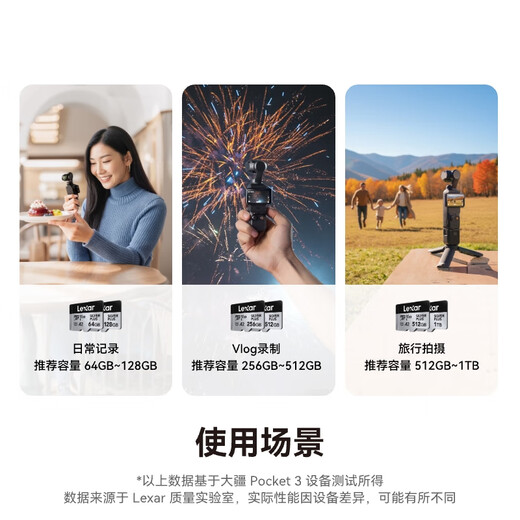 Lexar 256GB TF (MicroSD) memory card V30 4K read 205MB/s Drone action camera Pocket3 officially recommended memory card (SILVER PLUS)