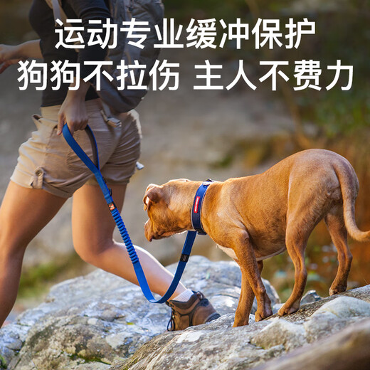 EZYDOG Australian zero-tension shock-absorbing traction rope professional buffering explosion-proof elastic rope outdoor dog walking rope Golden Retriever Husky Rising Sun Red Standard Model Suitable for medium and large dogs-standard leash length 120cm | width 2.5cm