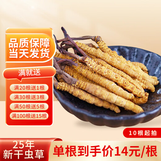 Xiongfengdao Cordyceps sinensis Tibetan area snow-covered Cordyceps sinensis 3 roots per gram starting from 10 roots gift box