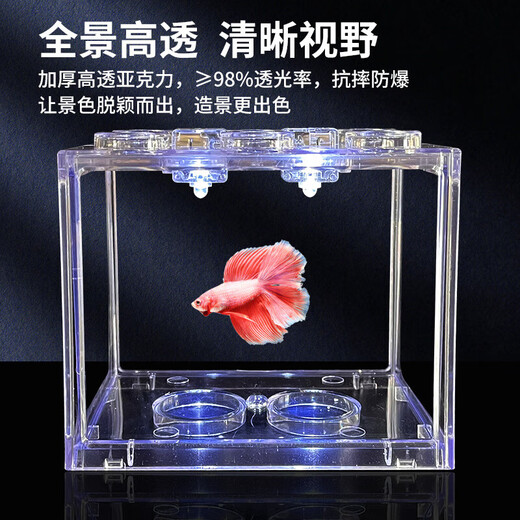 Trendy lifestyle appliances colorful lantern fish tank, fish tank + 1 lantern (comes with colorful stones and aquatic plants)