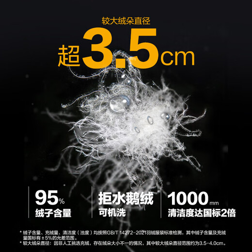 Long Ya Zhang Yi's same style second generation hidden blazing jacket goose down down jacket winter short high-end warm casual jacket polar night black L 180/100A