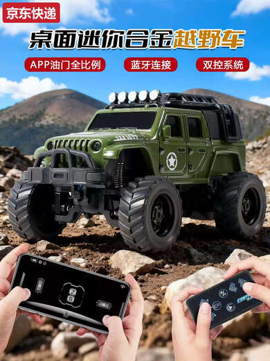 Maternity mother 2025 new remote control car mini desktop car rc off-road children's boy toy advanced black parent-child interaction 2 pack yellow + dark gray