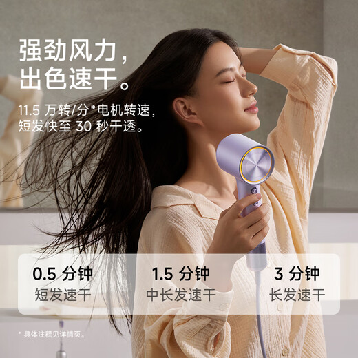 Laifen high-speed hair dryer Swift 04 (standard version) quick-drying household hair dryer negative ion hair care LF04 hair dryer national subsidy silver