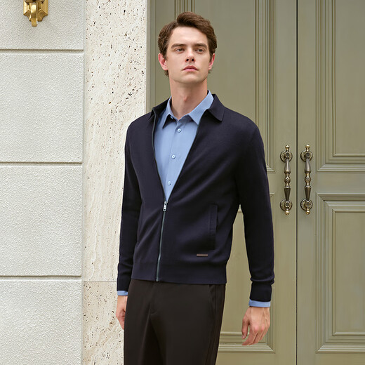 Youngor Sweater Men's 2025 Autumn and Winter Young Men's Long-Sleeved Sweater VWHW619961FFA Navy VWHW619961FFA S 95cm (recommended 105-125Jin Jin equals 0.5kg)