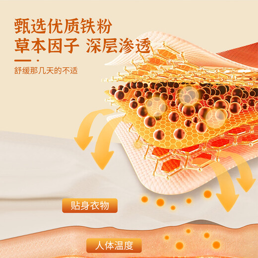 Gu Tiannuan Body Warming Patch, Plant Hot Compress, Self-Heating Warming Patch, Palace Warming Abdomen Warming Whole Body, Universal for Girls and Aunts, 2 Pieces Trial Pack, Random Fragrance