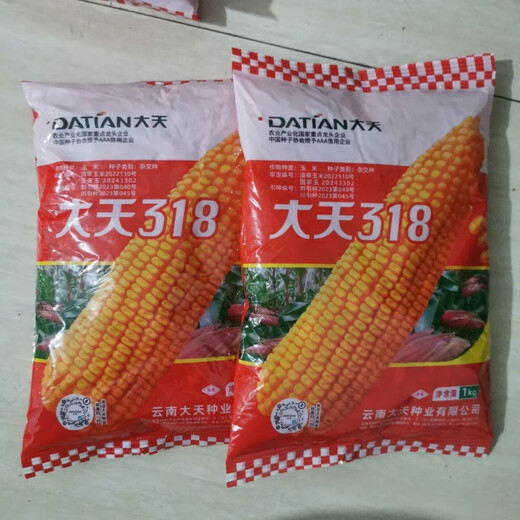 Datian 318 corn seed hybrid corn seed original orange yellow Yunnan corn seed bag original Datian 318 Yunnan hybrid corn seed original 2 kg