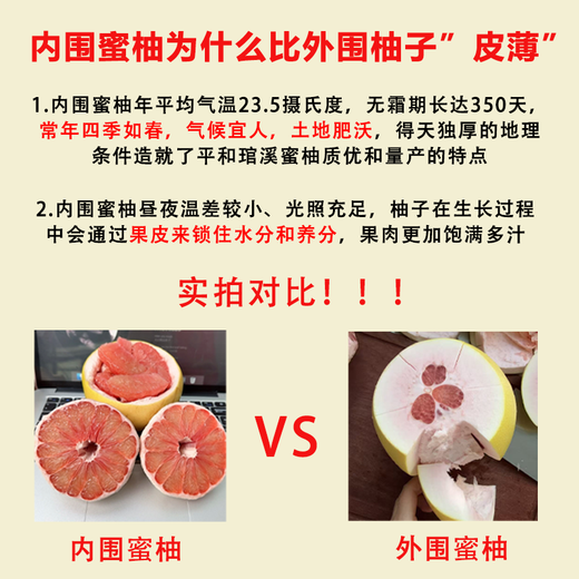 Jingmi Fujian Guanxi Red Heart Pomelo Net Weight 10Jin Jin is equal to 0.5kg Carton Packed Straight from the Source Family Sharing Pack