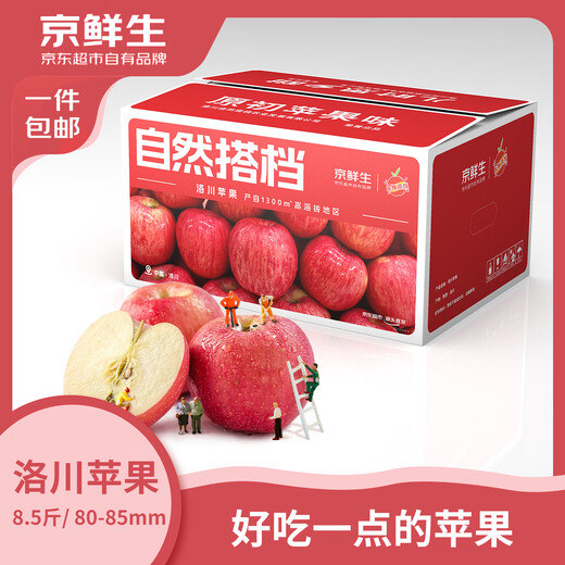 Jingxiansheng Luochuan Apple Shaanxi Red Fuji Net Weight 8.5 Jin Jin is equal to 0.5 kg Single fruit 80-85mm Straight from the source of fresh fruit