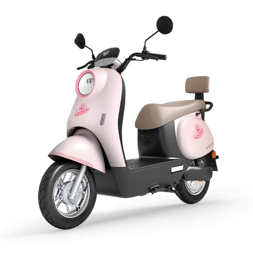 Luyuan Store Pickup New Electric Motorcycle MODA05 Home Use Long Range Electric Vehicle 60V20Ah Lead Acid Durable Electric Motorcycle Go to the store to choose the color