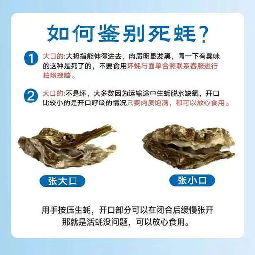 Fresh Rushan oysters, fresh oysters, oysters, 5 Jin Jin equal to 0.5 kg box, 3XL medium oysters (11-16 pieces per box) whole box, 5 Jin Jin, equal to 0.5 kg oysters