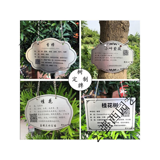 Stainless steel tree sign spring tension spring rope hanging chain stainless steel material can be retracted without damaging the tree sign sign customization stainless steel 0.8*20CM spring including one screw 0x0cm