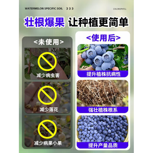 LDVEP special fertilizer for blueberries, organic nutrient solution for potted plants, general-purpose aqueous liquid fertilizer for root strengthening, seedling treatment and yellow leaf treatment. The package is more convenient to use. Special nutrient solution for blueberries.