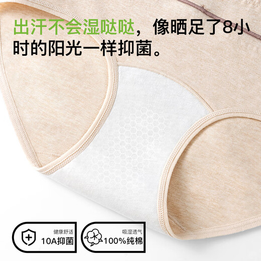 Modal Class A cotton women's underwear women's pure cotton antibacterial cotton extended crotch mid-waist bag buttocks girl's triangle shorts head L