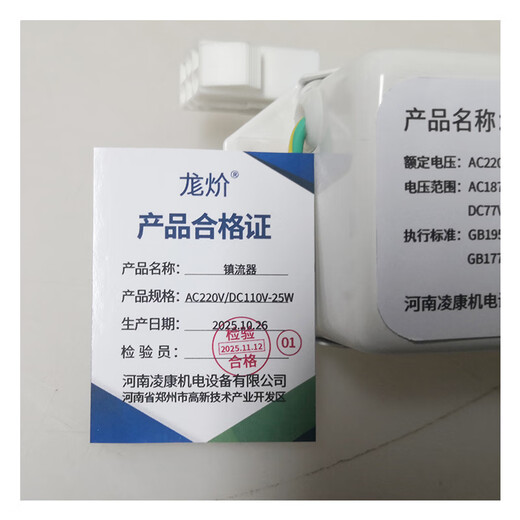 Shouyi ballast AC220V/DC110V-25W pcs