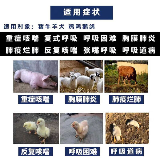 Mucan Veterinary Medicine for pigs, cattle and sheep cough and asthma medicine, special treatment for mutated contagious pleural meningopneumonia and lung disease, severe cough and asthma medicine (5 sets)