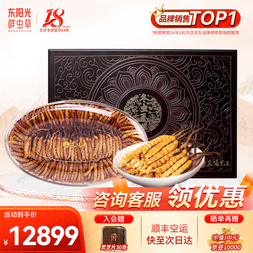 Dongguangguang Cordyceps 3-4 Wurzeln/g Bio-Cordyceps, nährende Geschenkbox, Nahrungsergänzungsmittel für Älteste und Eltern, 75 g Business-Geschenkbox aus Massivholz