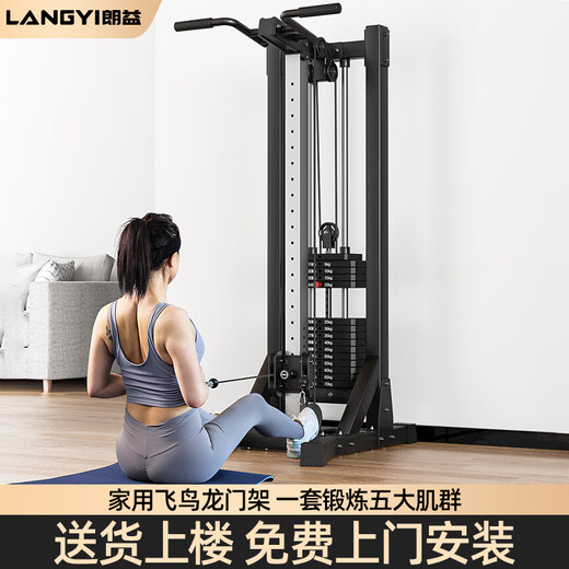 _Fitness home equipment unilateral flying bird gantry painting rowing machine multi-functional dumbbell equipment package installation classic + 70KG environmentally friendly counterweight