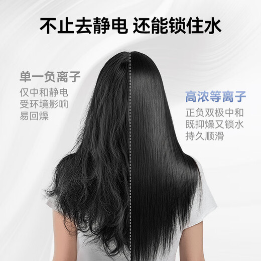 WoLe 4 billion plasma high-speed hair dryer household silent negative ion high-power does not hurt the power generation hair dryer leafless quick-drying gift for girlfriend New Year's Eve annual party gift