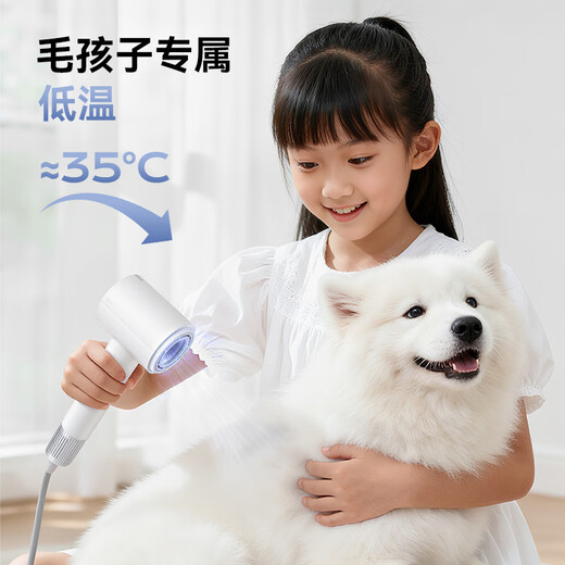 WoLe 4 billion plasma high-speed hair dryer household silent negative ion high-power does not hurt the power generation hair dryer leafless quick-drying gift for girlfriend New Year's Eve annual party gift