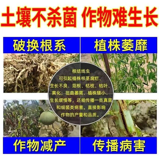 Стерилизация сельскохозяйственной почвы, передающиеся через почву болезни, специальная быстрая дезинфекция и стерилизация почвы, против тяжелой корневой гнили, микробный агент, очиститель от бактерий, передающихся через почву, 500 г * 2 мешка