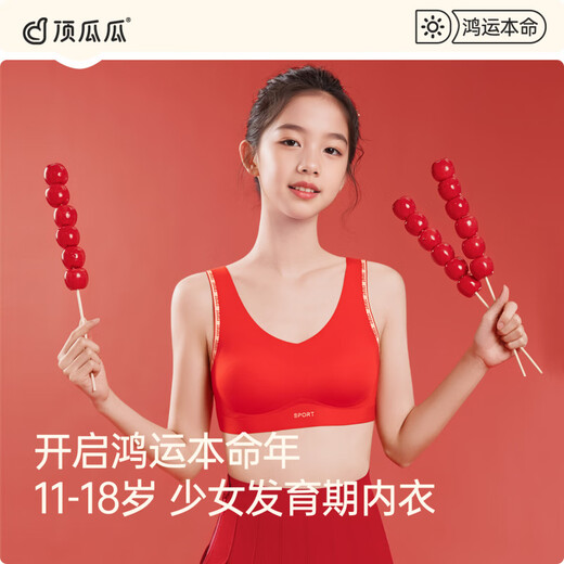 Dingguagua girl's development period tube top vest red girl bra set wide shoulder straps - girl's second and third stage animal year underwear single piece gift box L_recommended weight 80-95Jin Jin equals 0.5 kg