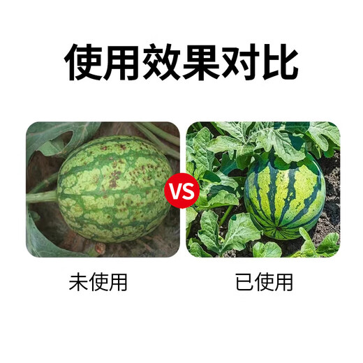 6%春雷霉素杀菌剂叶斑病角斑稻瘟病流胶病柑橘蔬菜软腐细菌病害 500克*1瓶