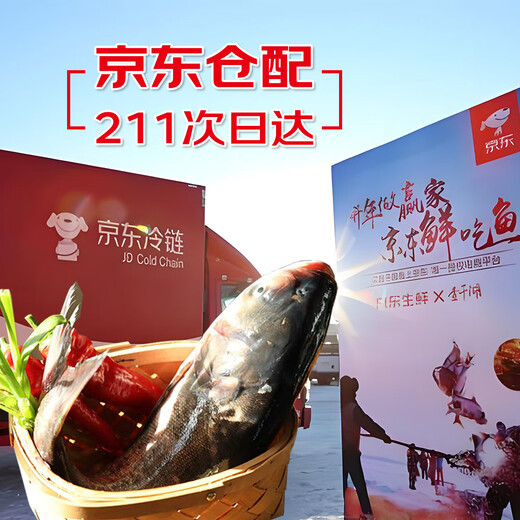 Gift Voucher Chagan Lake Winter Catching Organic Fathead Fish Gift Voucher Type 1688 16-18 Jin Jin is equal to 0.5 kg 1 New Year’s gift box Spring Festival New Year’s Eve dinner gift package