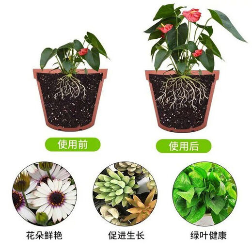 Baishi Garden Phosphorus and Potassium King Nutrient Solution promotes root growth, flowers and fruits, general liquid phosphorus and potassium fertilizer for potted fruits, vegetables and flowers King Phosphorus and Potassium 1000ml bottle