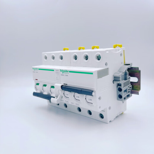 Schneider two-way dual power automatic conversion switching air switch interlocking circuit breaker dual-way controller 220v 80A 2P