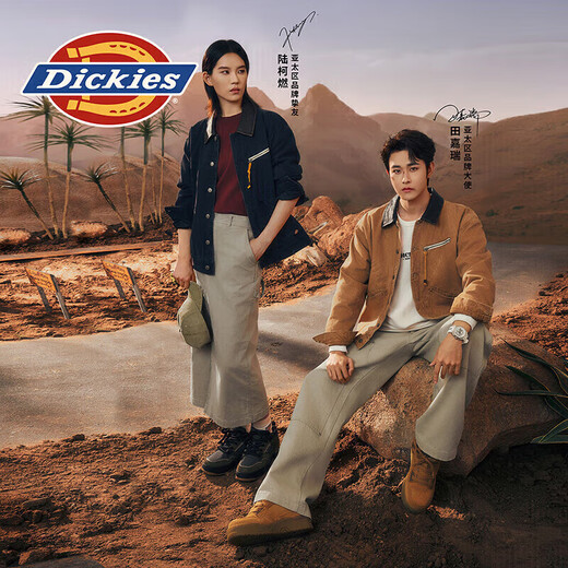 Dickies Tian Jiarui's same style, Zeng Keni's same style, men's sneakers, low-top casual shoes, work shoes, yellow brown 41