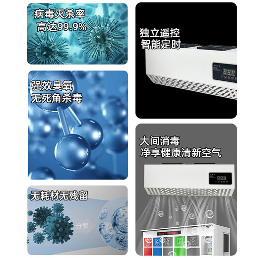 Aijenu wall-mounted ozone sterilizer food factory clean workshop canteen school deodorization formaldehyde sterilization generator 10g paint resistant to rust (remote control + appointment timer)