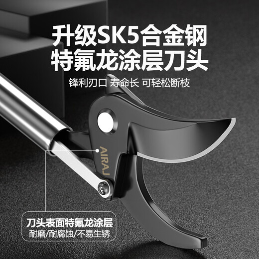 JCZS German high-altitude pruning shears, special scissors for branch cutting, gardening fruit trees, stainless steel thick branches, extended high branch shears, 2 meters, upgraded stainless steel reinforcement rod + spare blade