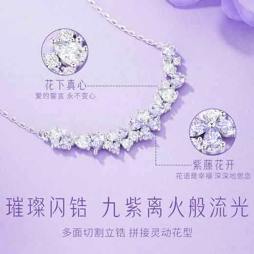 Zhen Shang Silver Necklace Women's Pendant 2025 New Birthday Gift Anniversary Niche Light Luxury High-end Sent to Girlfriend and Wife