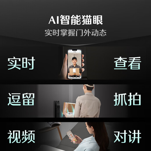 德施曼（DESMAN）智能门锁C级锁芯3D人脸识别大屏指纹密码防盗电子锁 大圣 Q5FPro