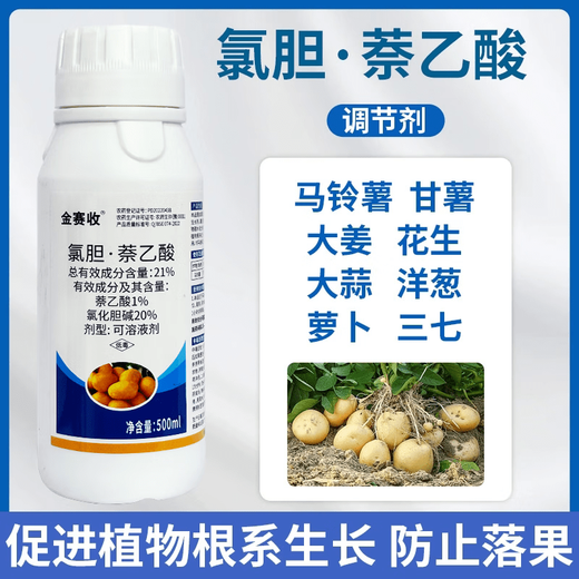 21% Choline Chloride Naphthalene Acetic Acid Expanding Potato Medicinal Ginger Underground Rhizome Tuber Production Enlarging Agent 10kg 20 bottles 500g exactly one box