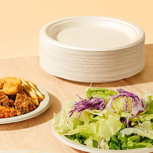 One s Member disposable pulp 9-inch discs, one size fits all *60 pcs