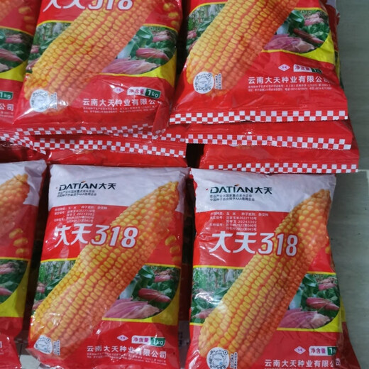 Datian 318 corn seed hybrid corn seed original orange yellow Yunnan corn seed bag original Datian 318 Yunnan hybrid corn seed original 2 kg