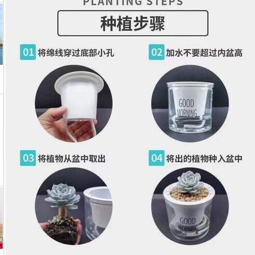 Anthurium potted white pink palm, smooth sailing flowers, extra-large flowers, indoor living room surface hydroponic plants are easy to grow, about 30-35 large anthurium-good morning suction, it is good to bring potted plants