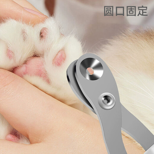 Star rudder cat round hole nail scissors pet small blind scissors cat nail scissors for beginners special dog nail clippers cat paws anti-cut stainless steel powder + blue two pack upgraded round hole style