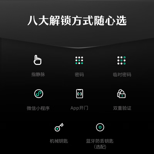 德施曼（DESMAN）全自动指静脉智能锁非传统指纹锁密码锁 电子锁智能门锁 大圣 Q5S
