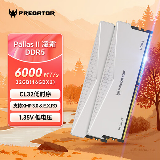 Acer PREDATOR 32G (16G 2) set DDR5 6000 frequency desktop memory stick Pallas II Lingshuang series (C32) Starlight Silver AI computer accessories