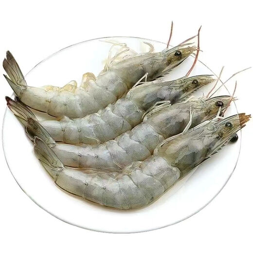 Jiang Qigong Fresh Sea-caught Extra Large White Shrimp Ecuadorian White Shrimp Frozen seafood kept fresh with ice Four Jin Jin is equal to 0.5 kg, packed Four Jin Jin is equal to 0.5 kg, packed large white shrimp 12-16 cm